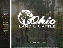 Tablet Screenshot of ohiolandandcattle.com